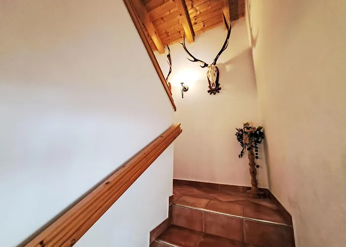 Reichegger By Interhome 別荘 Hippach-Schwendberg