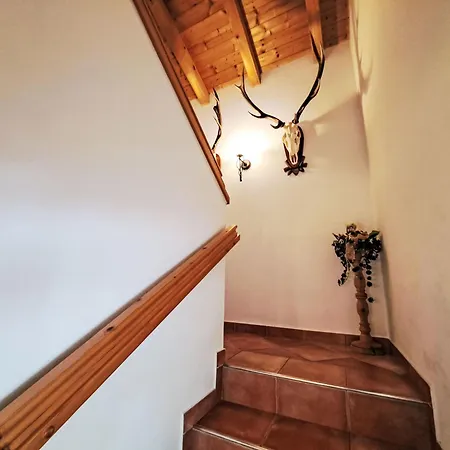 Reichegger By Interhome Ferienhaus Hippach-Schwendberg