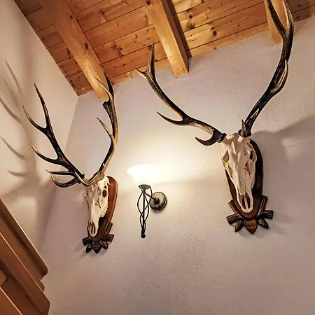 Reichegger By Interhome Hippach-Schwendberg