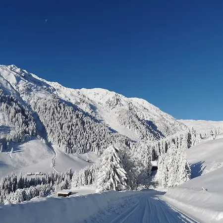 Reichegger By Interhome Ferienhaus Hippach-Schwendberg